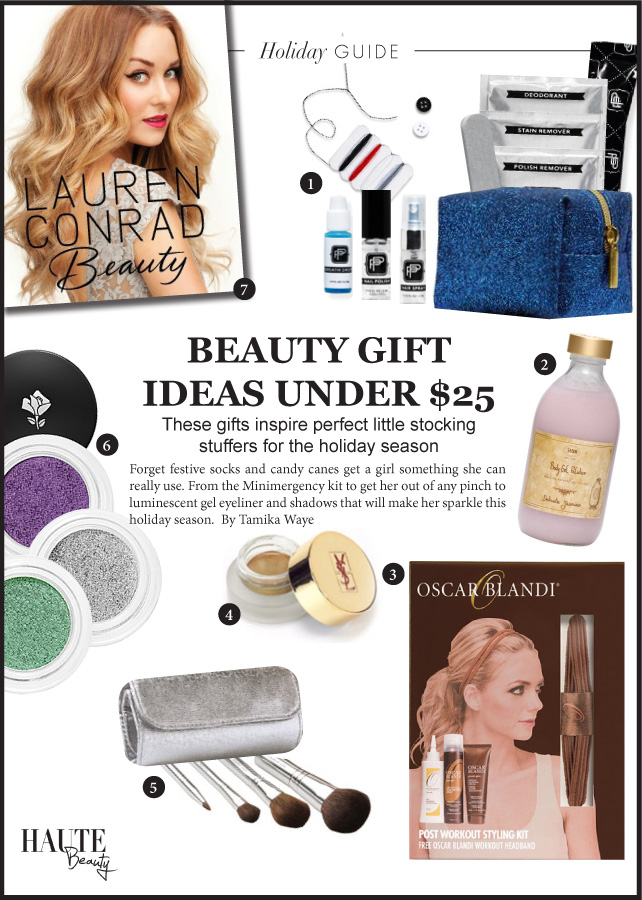 2012 Holiday Gift Ideas Under $25